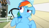 Dash Belly