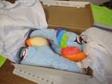 toasty_dashie_slippers_1