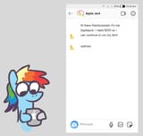 dashie falling for an internet scam