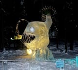 deepwater ice fish