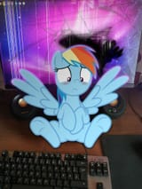 Dashie popped out on (me)