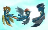 Dash Wonderbolts celebration