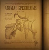 speculums