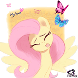 fluttershy picmix
