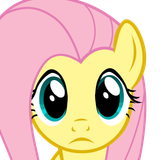 fluttershy stare