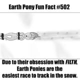 4 - Earth Pony