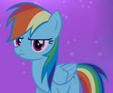 dashie not amused