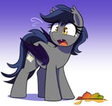 7034078