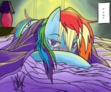 Dash bed blush