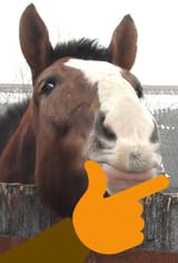 thonk