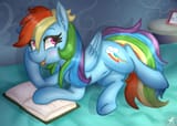 dashie book reading