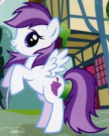 sugar grape