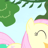 SNIFF 3