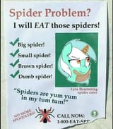 spiders