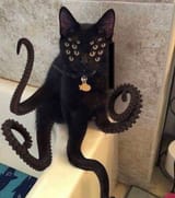 Cathulu