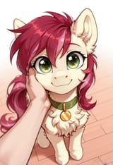 50528