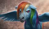 species_horse, realistic horse, feral, rainbow dash (mlp), wings spread, angry e s-3590544510