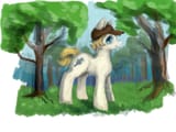 ponysona