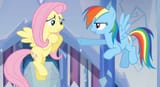 dashie wants a brohoof