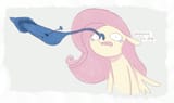 fluttershys new friend
