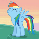 dashie nod