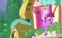 BerryPunch Bush_thumb.jpg