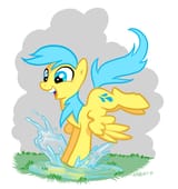 raindrop