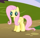 fluttershy is certainly shy