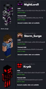 alledged_hackerman