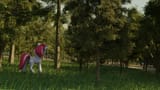 Sugar_In_Nature_1080p