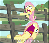 2132423