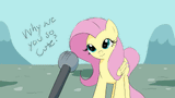 FlutterFinish