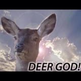deer