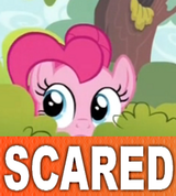 scared ponk