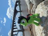 IMG_20250607_145530