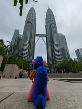 IMG_20250426_084546