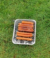 IMG_20250608_094054_1