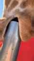 1467818774310_thumb.jpg