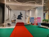 IMG_20250608_092652