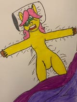 sleeping mare