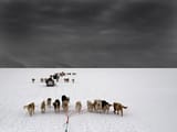 greenland
