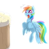 Dash loves cider