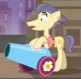 jewpony