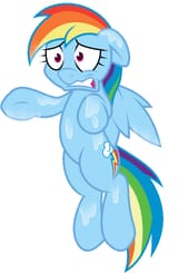 a sad wet Dash
