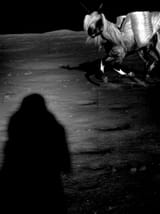 loona gallop