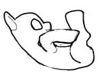 supine