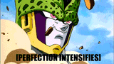 [perfection]