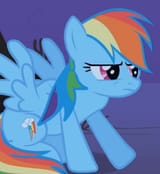 3603440__source+needed_useless+source+url_safe_screencap_rainbow+dash_pegasus_g4_animation+error_cropped_female_mare_solo_tail_wings