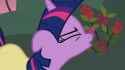 twilight spergle_thumb.jpg