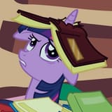 twi book